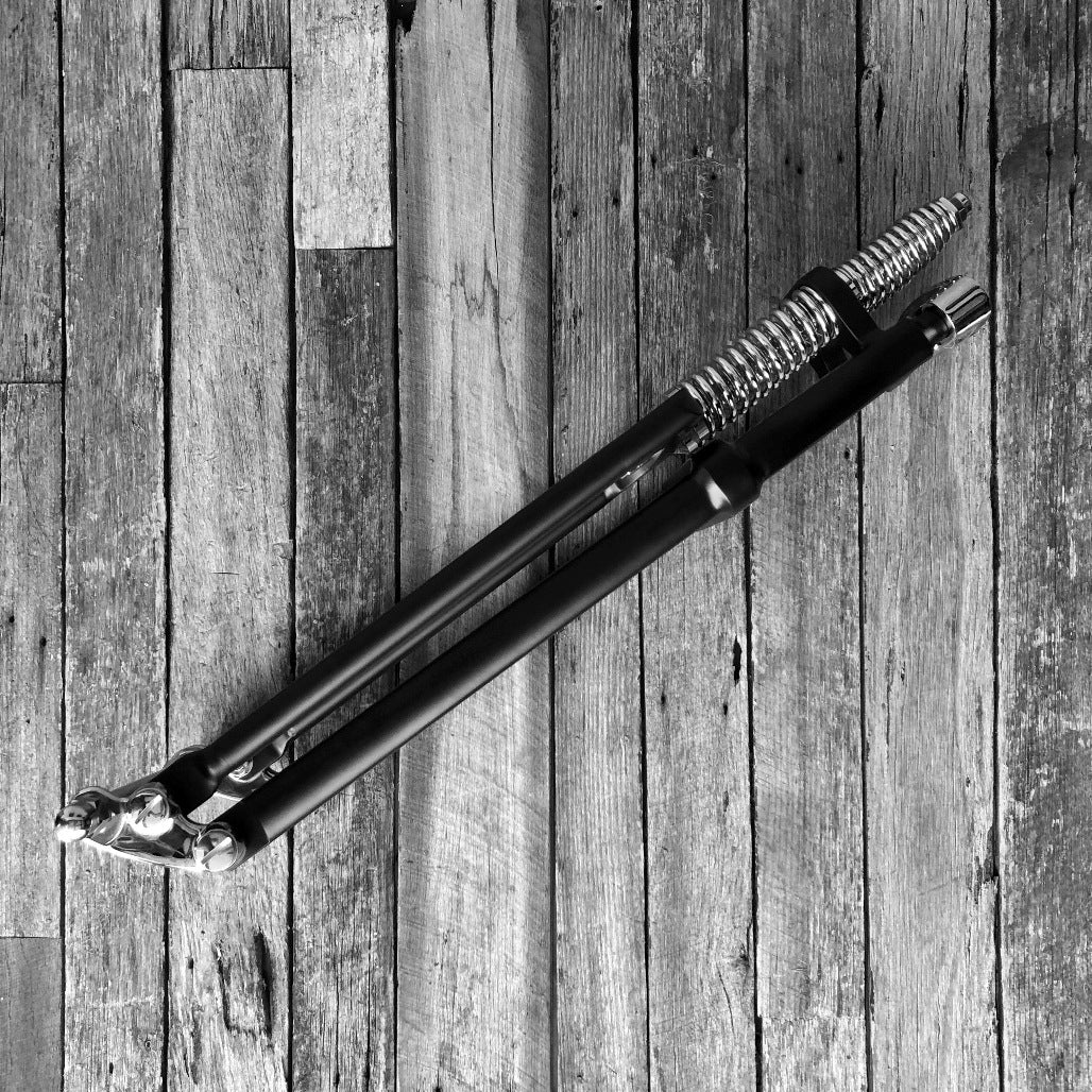 Custom Style Springer Forks