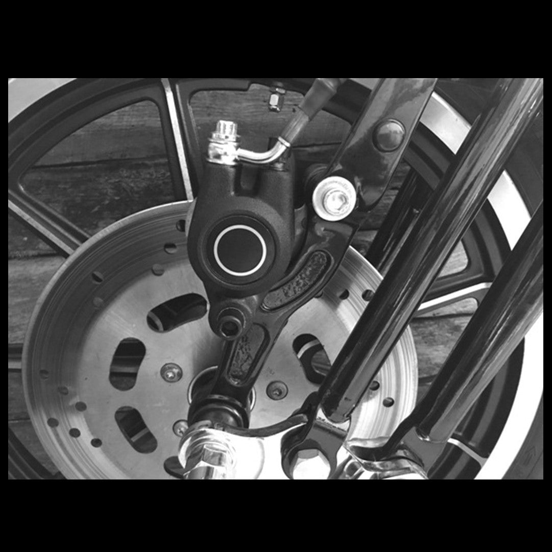 Late Style Springer Forks